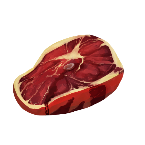 Slab of Raw Meat