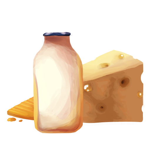 Dairy