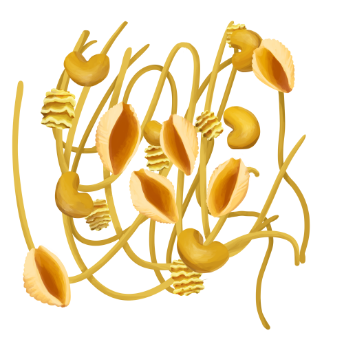Pasta