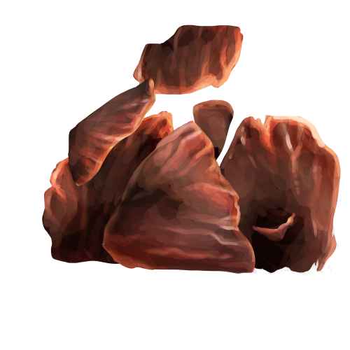 Beef Jerky