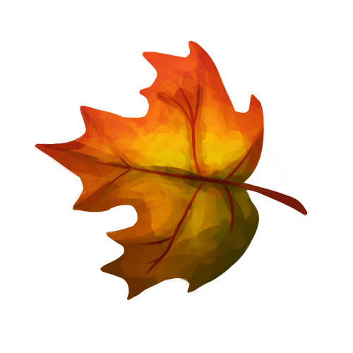 Fallen Leaf