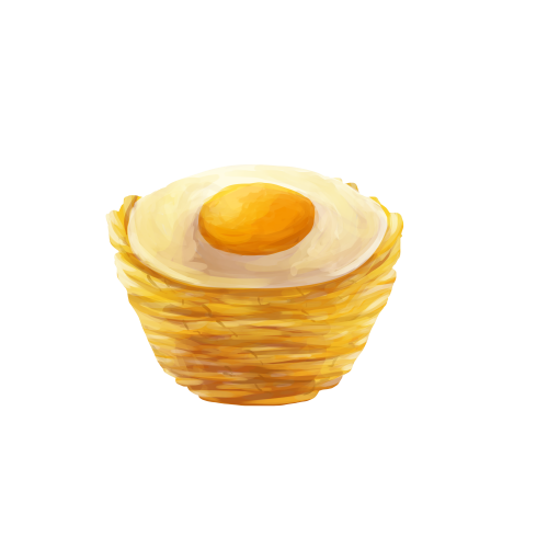 Hash Brown Nest