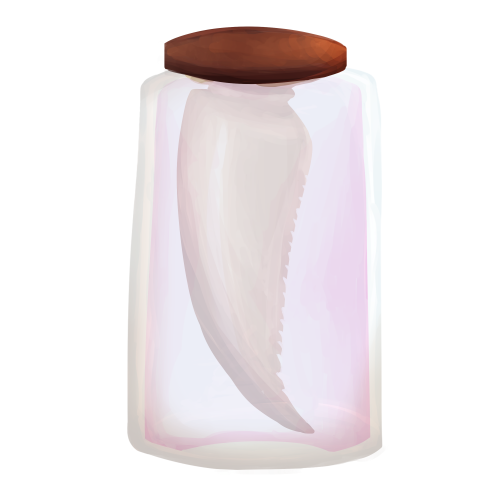 Trinket Jar - Fossil Tooth