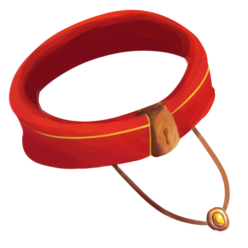Accessory