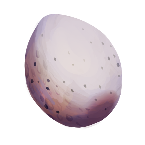 Egg