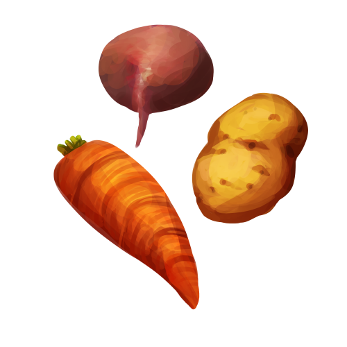 Root Vegetable