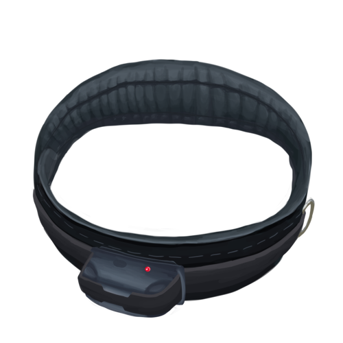 Shock Collar