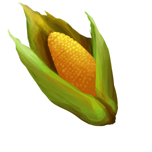 Corn