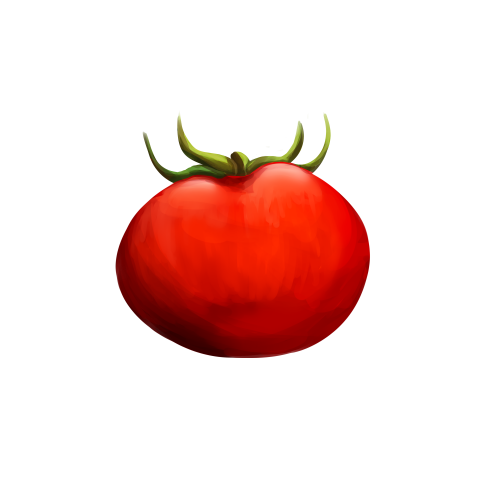 Tomato